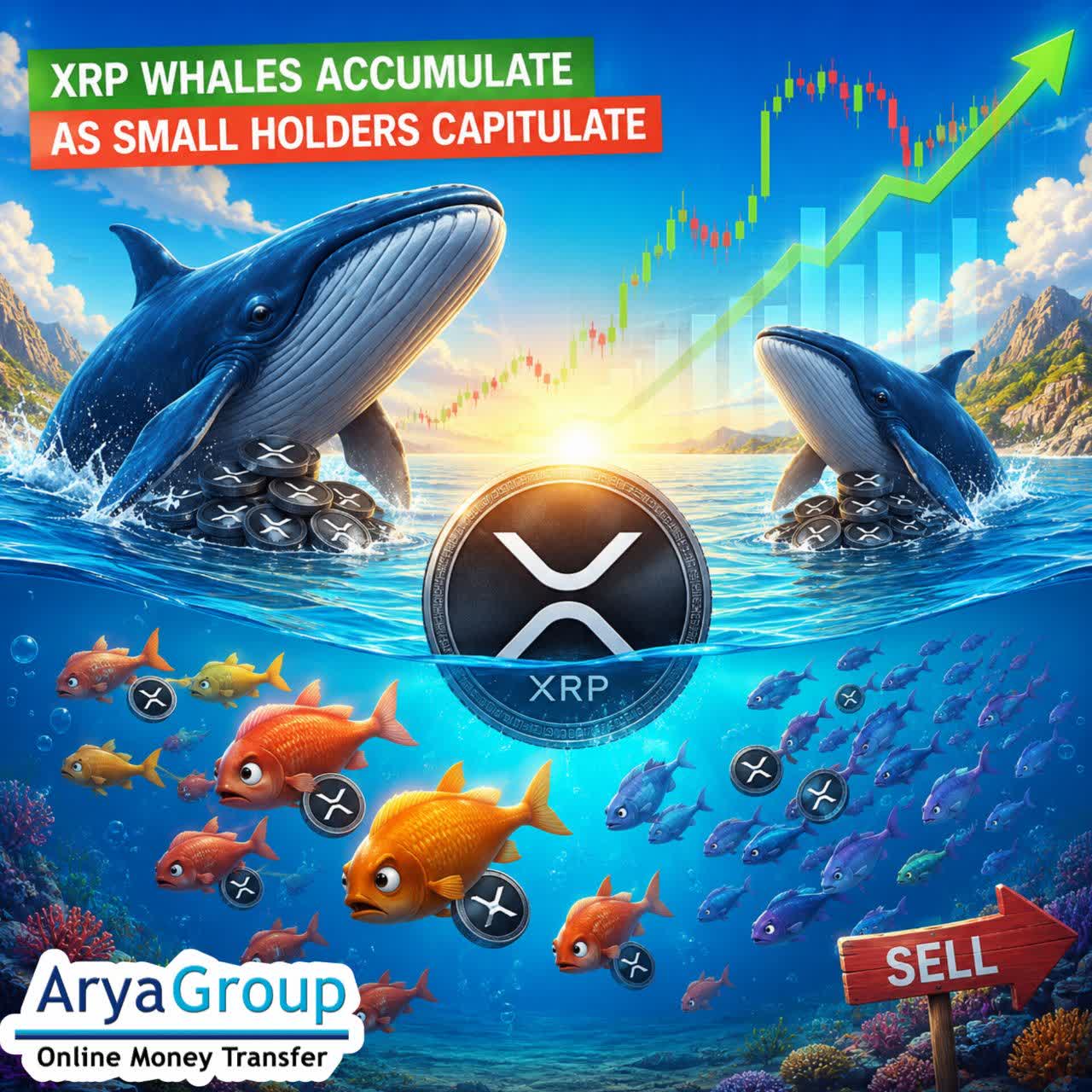 XRP Whales Buy as Retail Sells